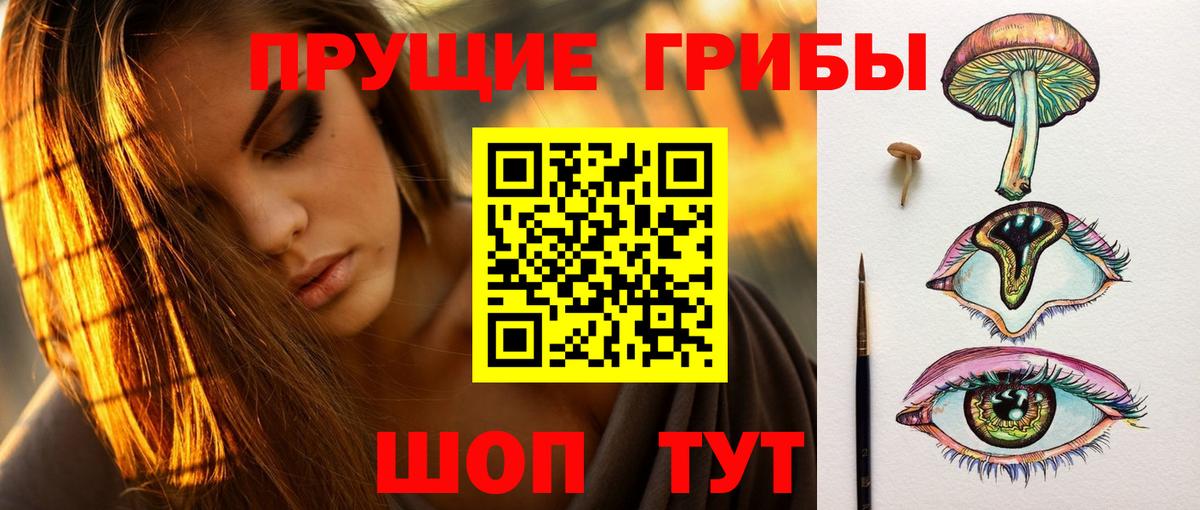 Галлюциногенные грибы прущие грибы  магазин  наркотиков  Углич  Вход с VPN  Галлюциногенные грибы MAGIC MUSHROOMS 