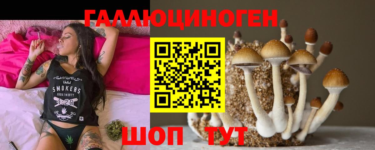 Псилоцибиновые грибы Magic Shrooms Углич
